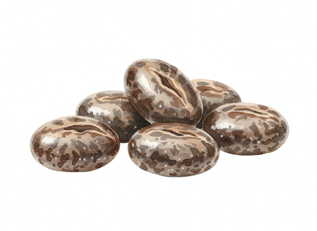 Castor Oil: Nature’s Thickening Agent for Hair - Amaaltas