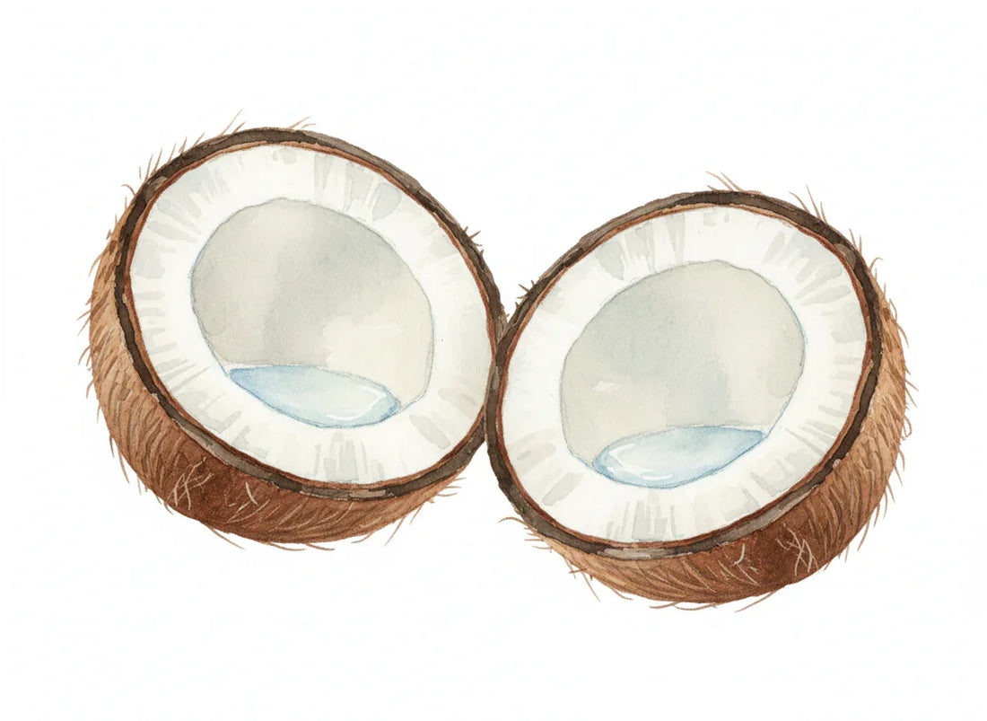 Coconut Oil for Hair: Why It’s Still the Queen of Oils - Amaaltas