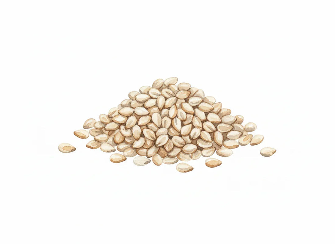 Sesame Oil: The Ayurvedic Secret for Strong Roots - Amaaltas