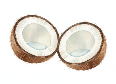 Coconut Oil for Hair: Why It’s Still the Queen of Oils - Amaaltas